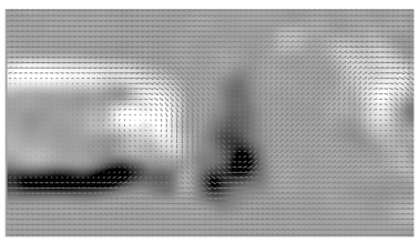 Sample instantaneous velocity and vorticity field.